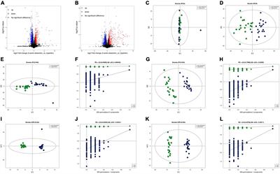 Potential metabolomic biomarkers for the identification and diagnosis of type A acute aortic dissection in patients with hypertension